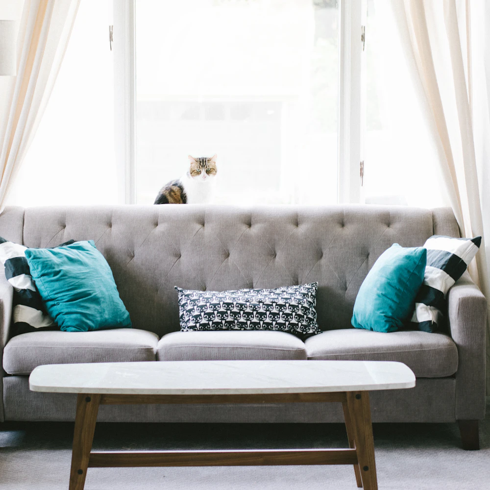 Sofa Nordic 2 Seater Cozy